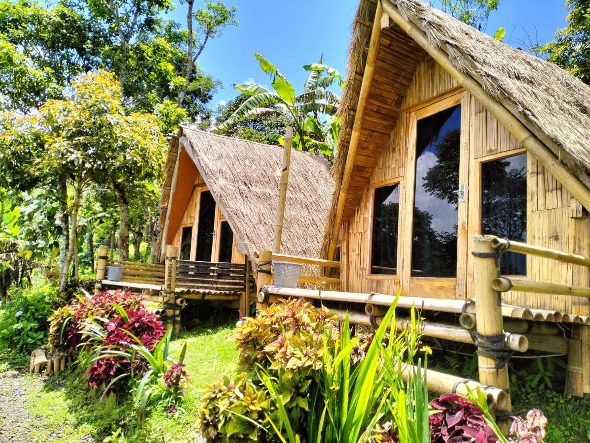 Wanagiri Campsite Gitgit 外观 照片