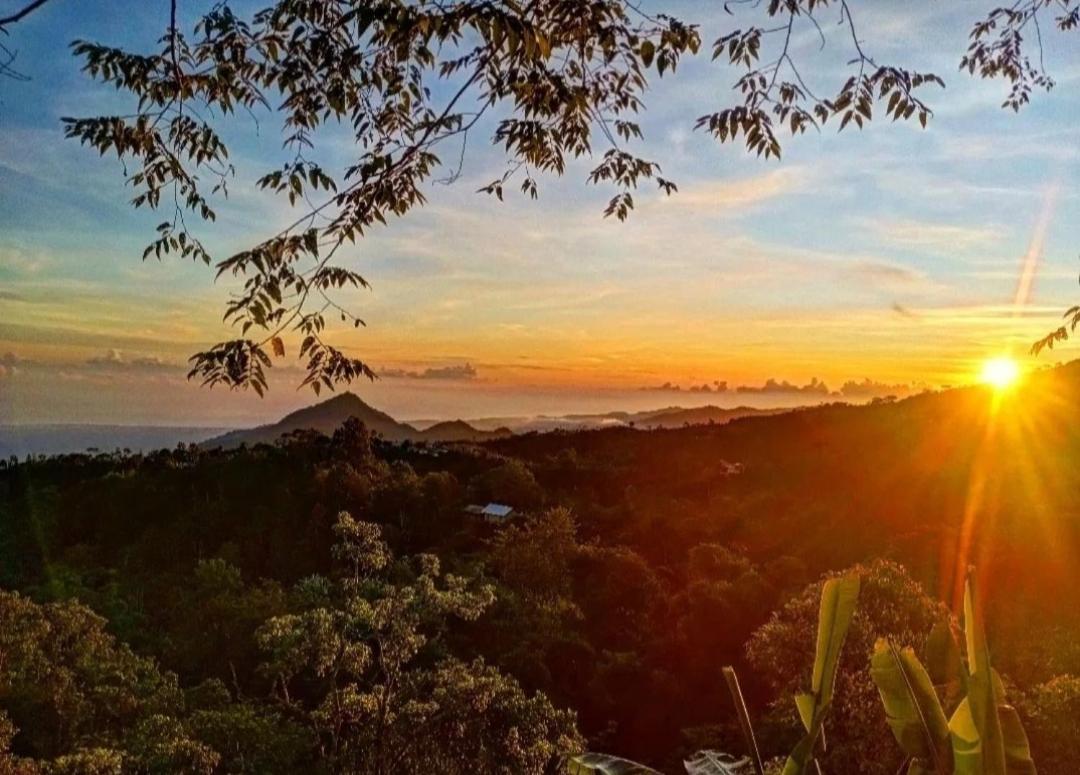 Wanagiri Campsite Gitgit 外观 照片