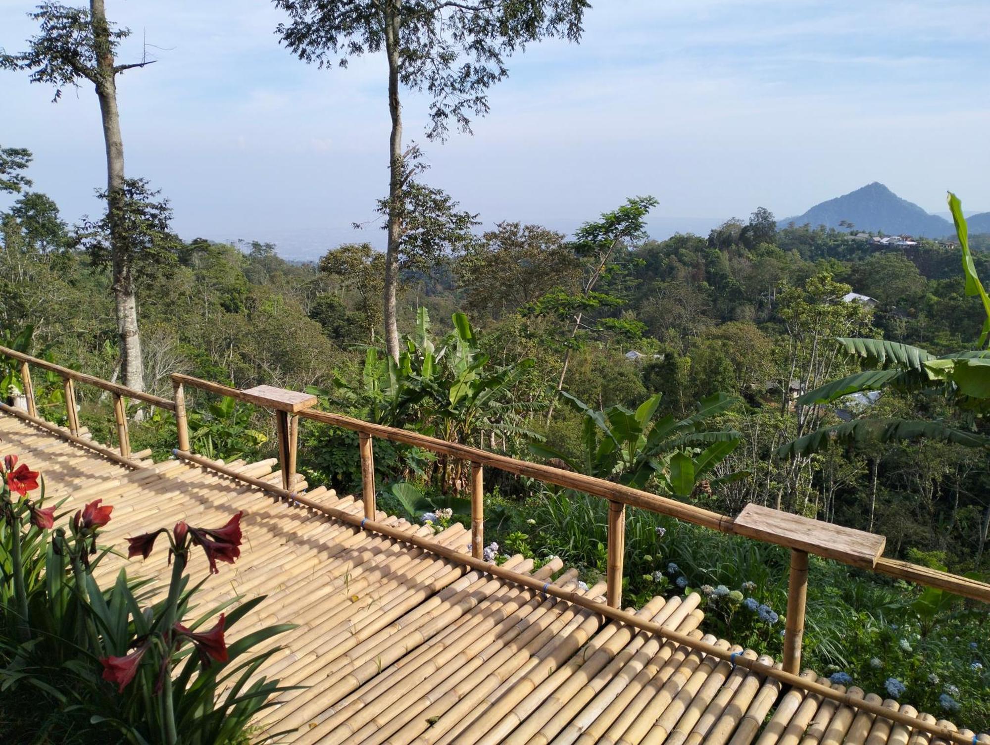 Wanagiri Campsite Gitgit 外观 照片